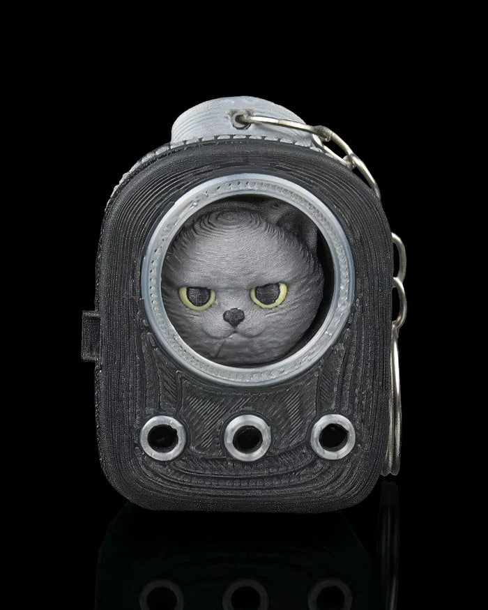 Everyday Pack British Shorthaira