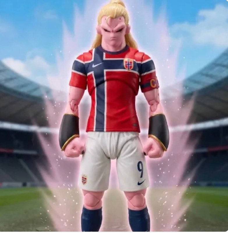 HAALAN MAJIN