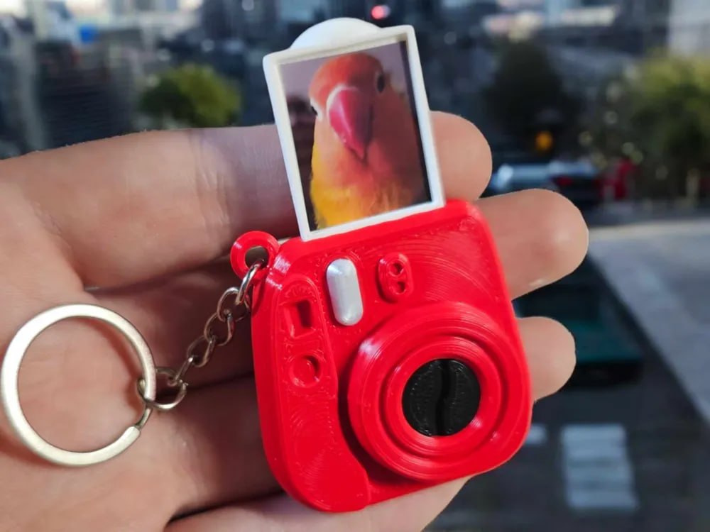 Fin Split Instax