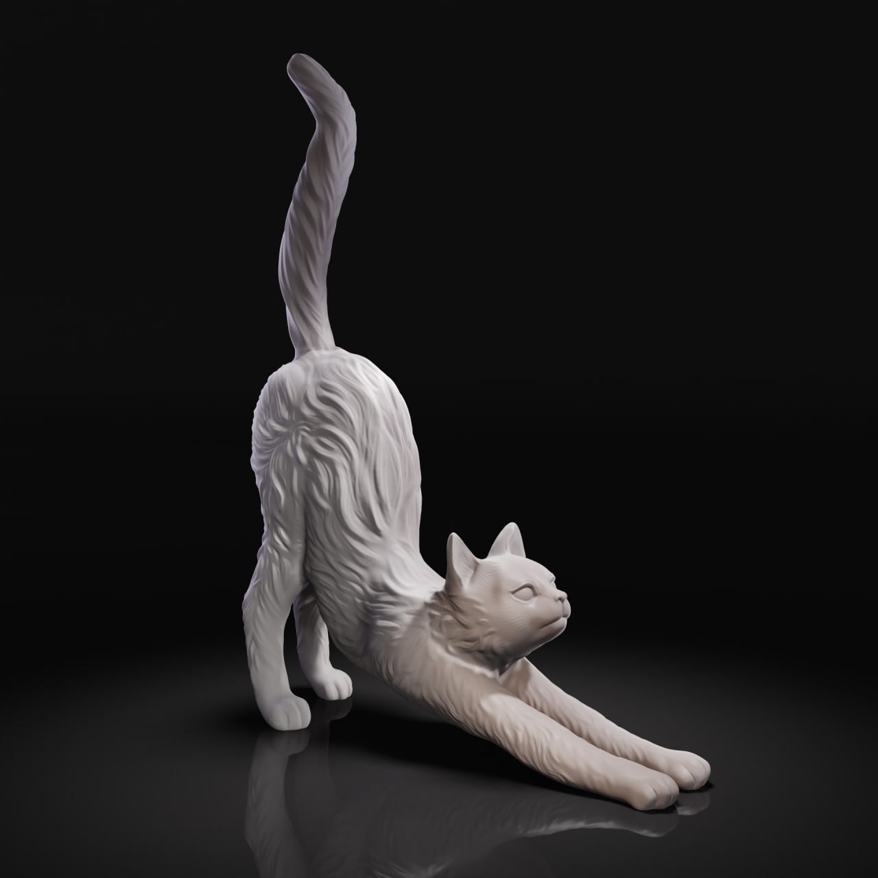 Cat-Stretching