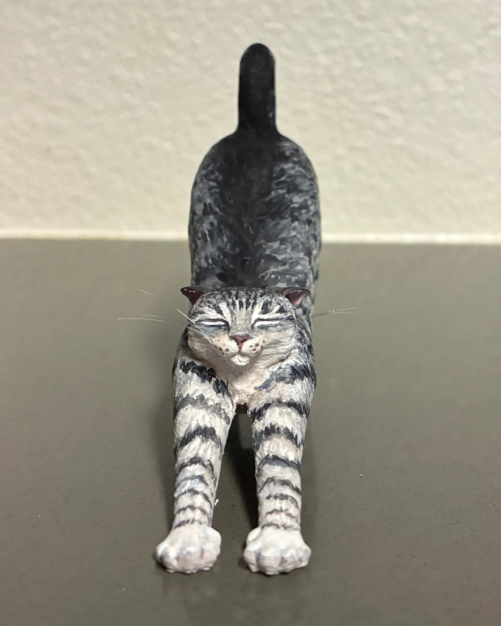 Cat Stretching