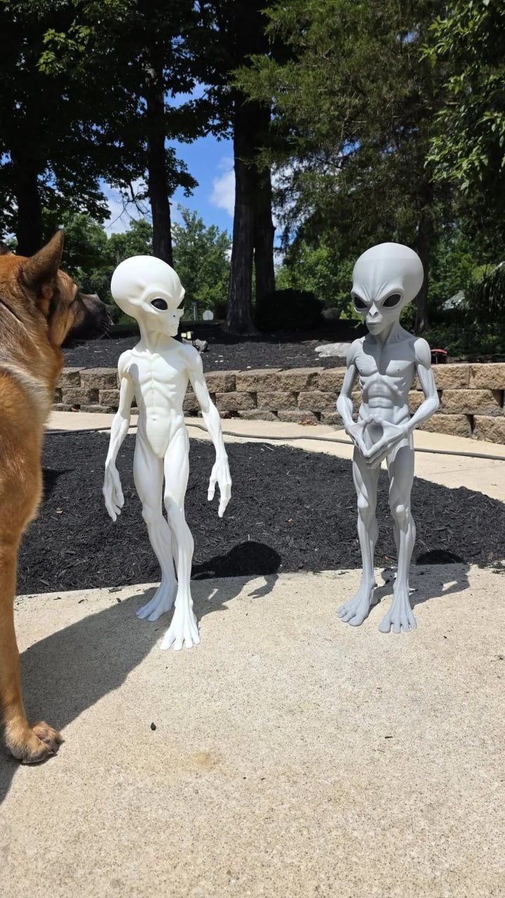 3 Foot Alien Leader Final(6)