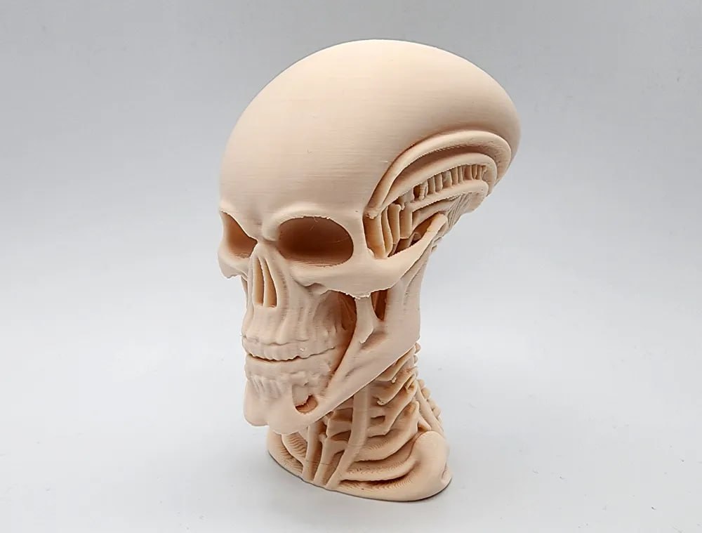 Skull Base Profile Stls