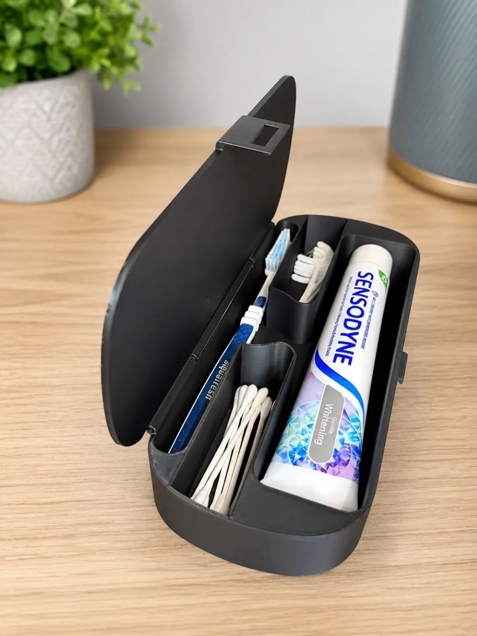 Toothbrush Travel Case