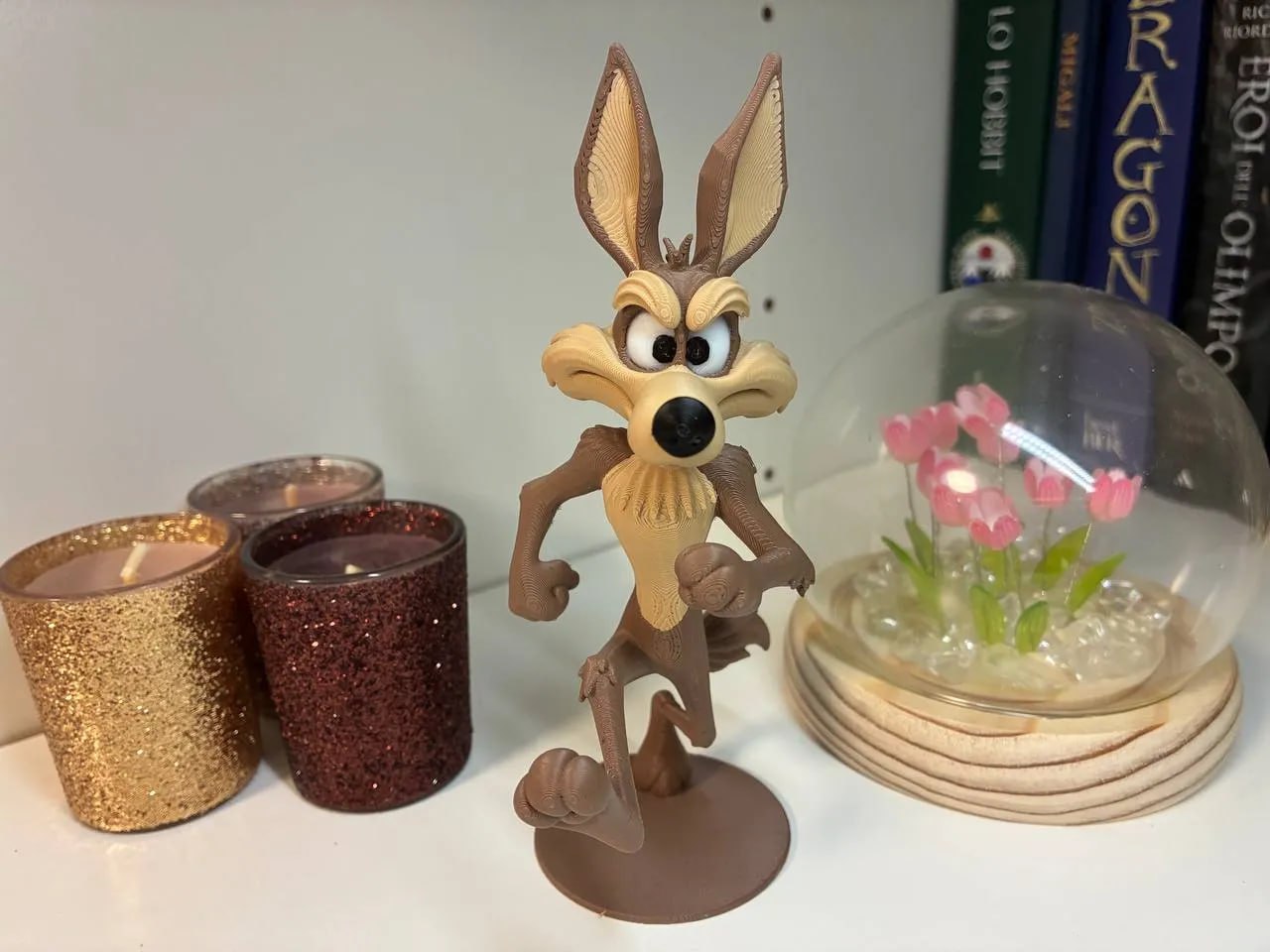 Willie Il Coyote Colors