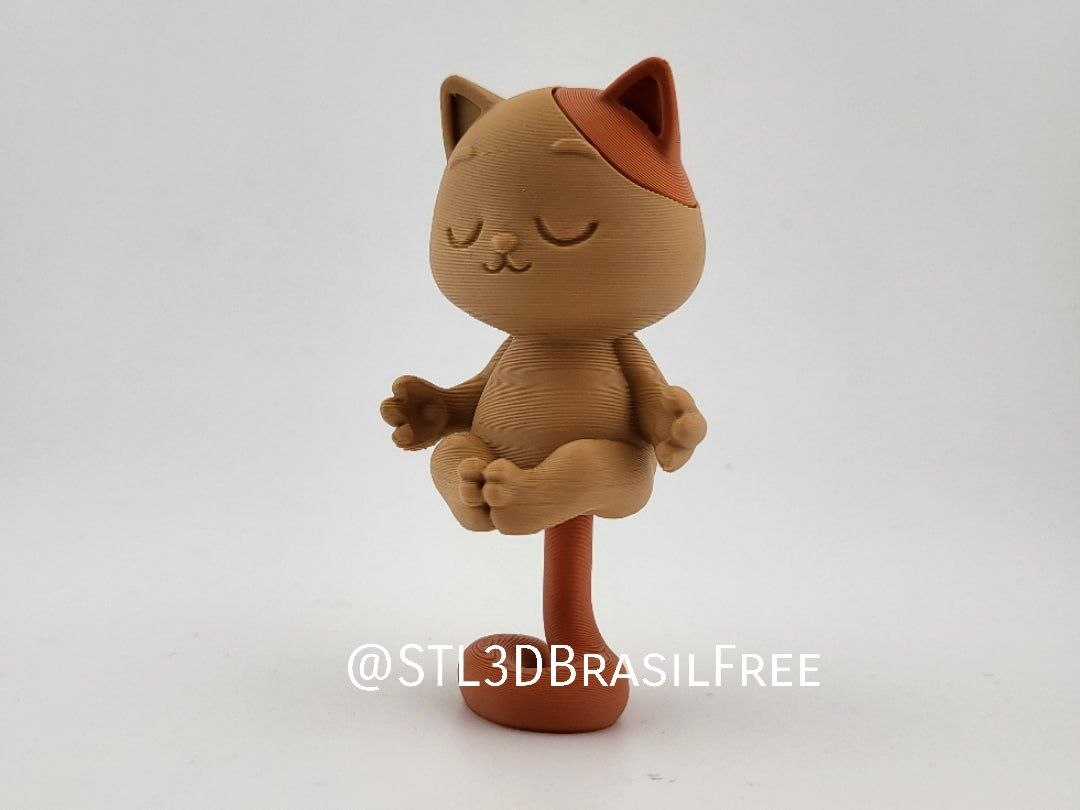 Gatto Zen Stls