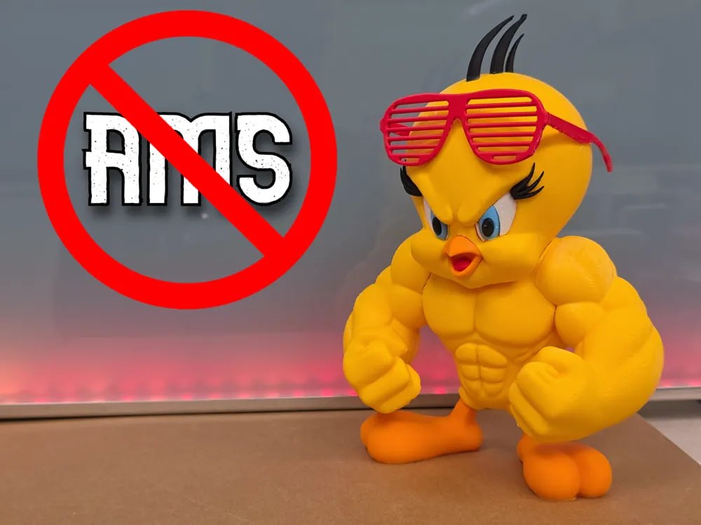 PiolíN El PáJaro Del Gimnasio