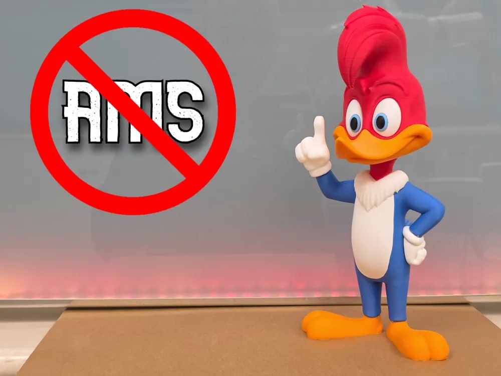 PáJaro Loco