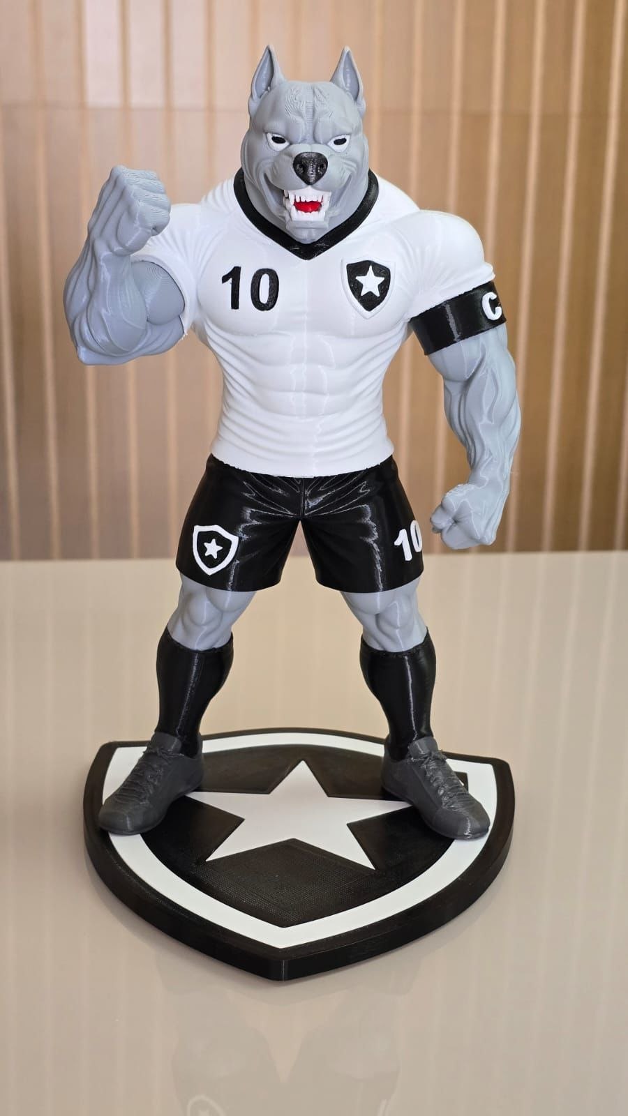 Mascote Do Botafogo
