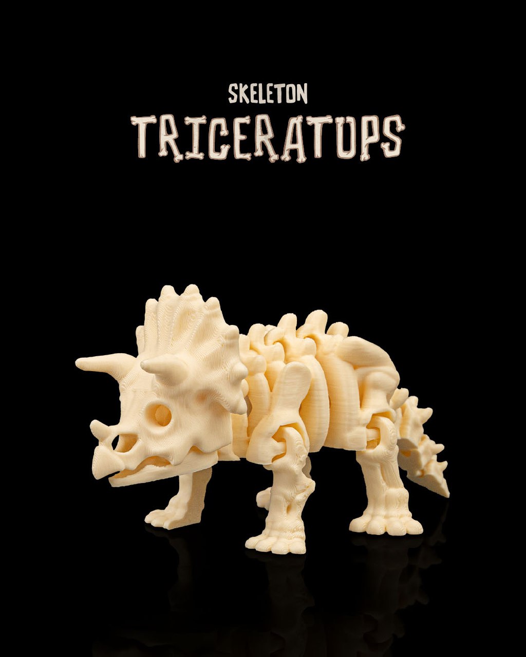 Skeleton Triceratops B816312a87