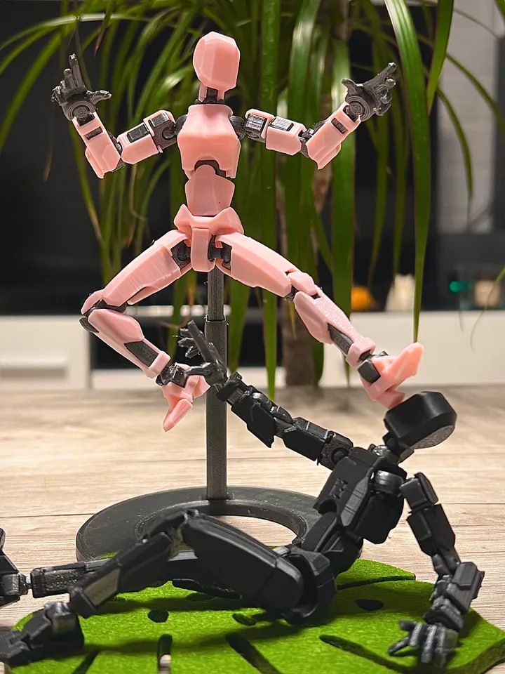 Dummy 13 Lady