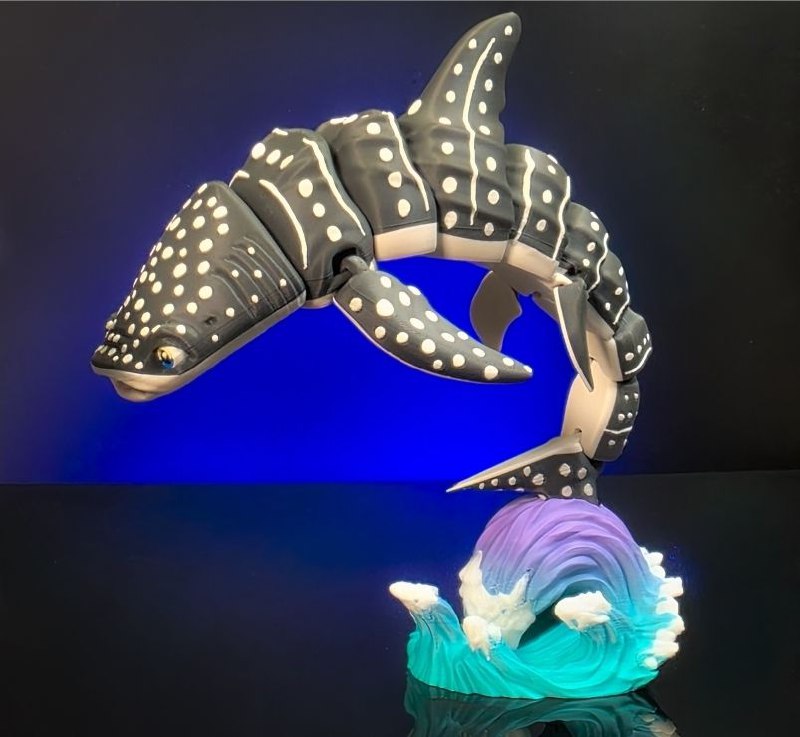 Raki Box - WhaleShark With Base