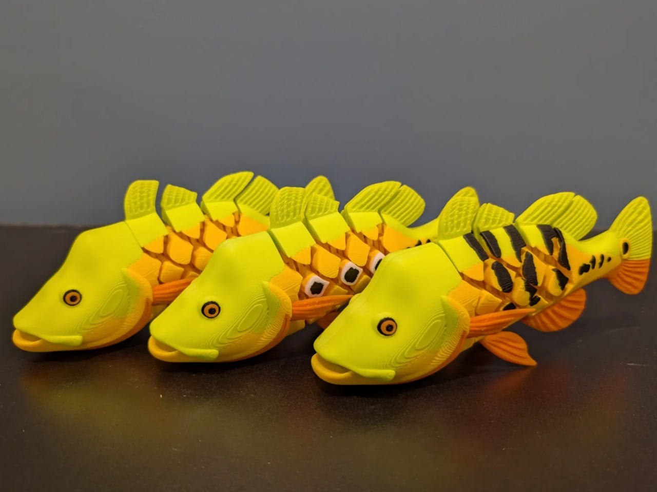 Articulated Peacock Bass