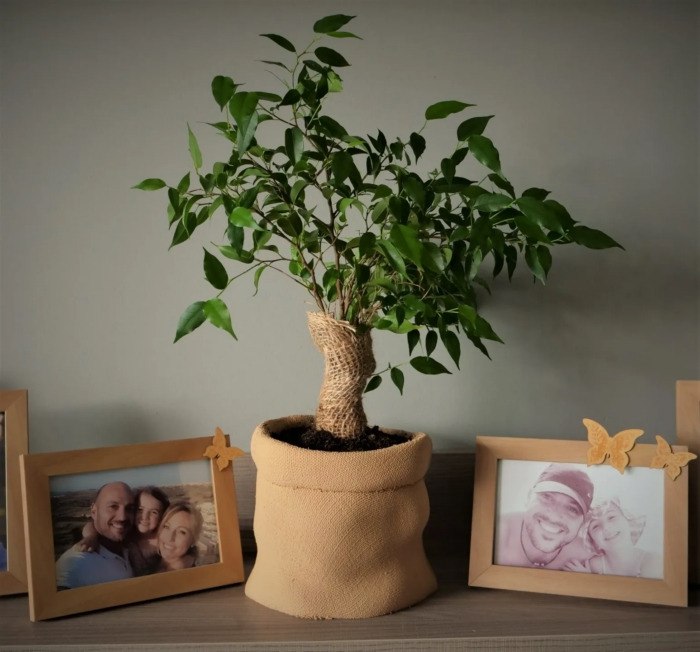 Burlap Sack Planter