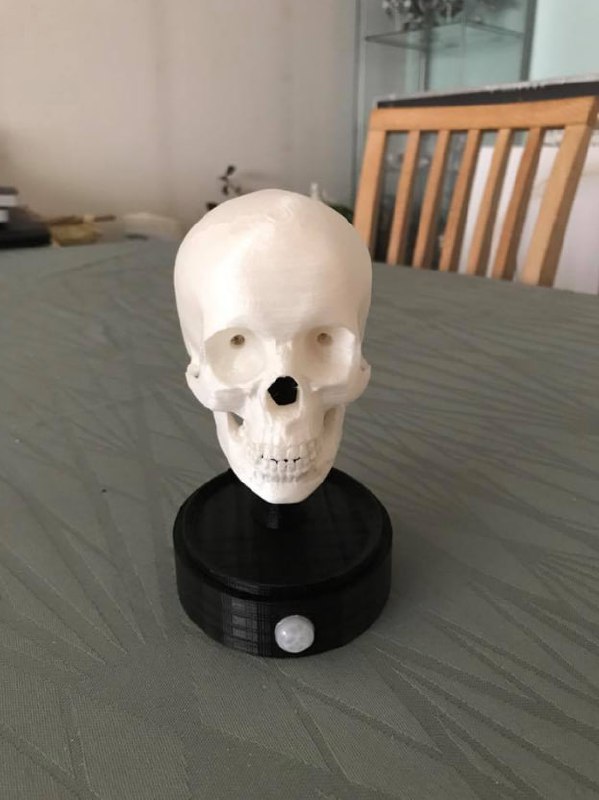 6064996870ec6 Skull-Stand-With-Helmet