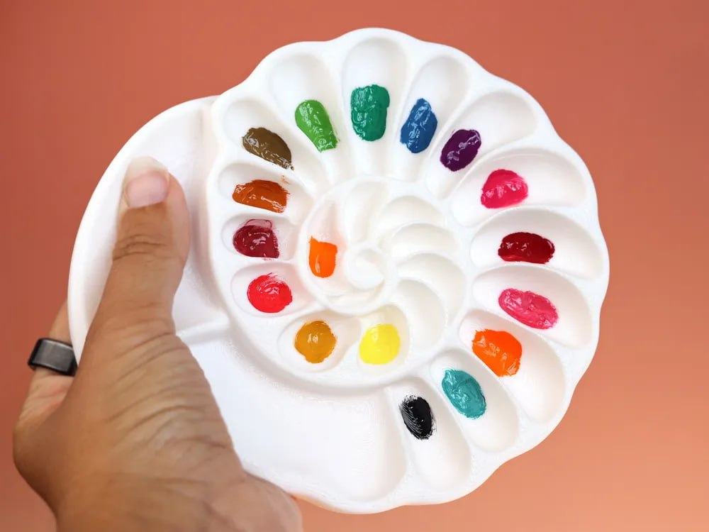 Ammonite Tray Paint Strong Stls
