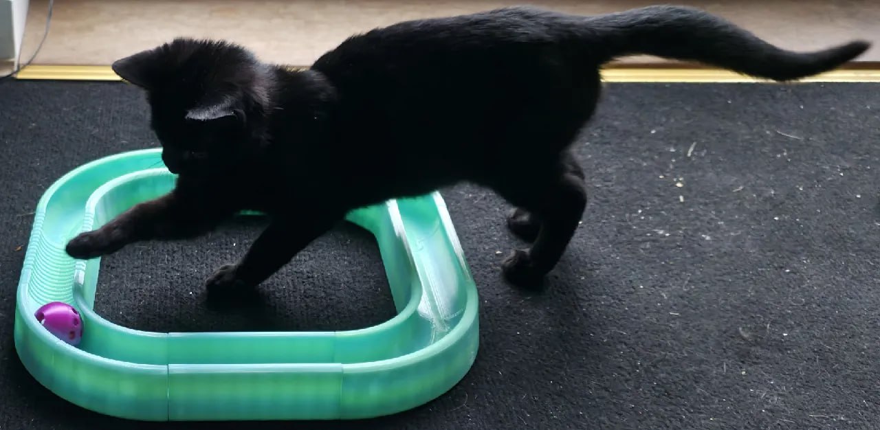 Track-Ball-Cat-Toy-Model Files