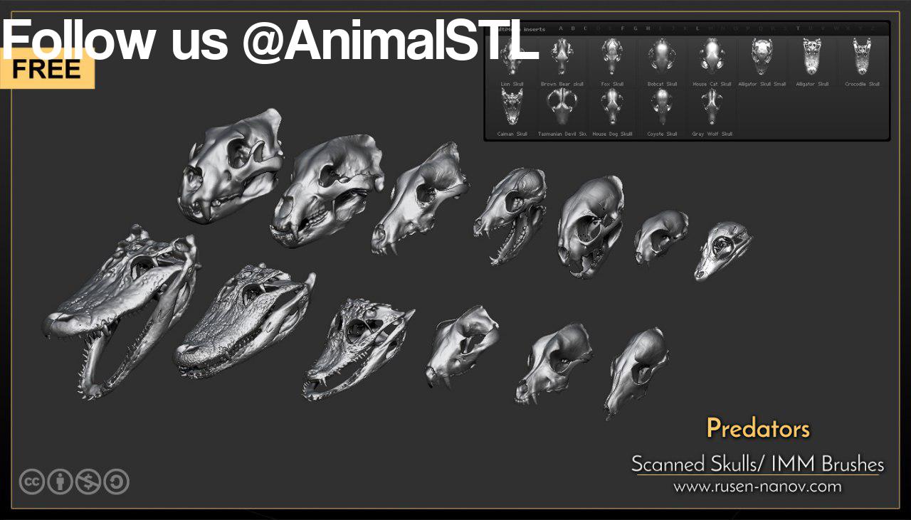 Skulls