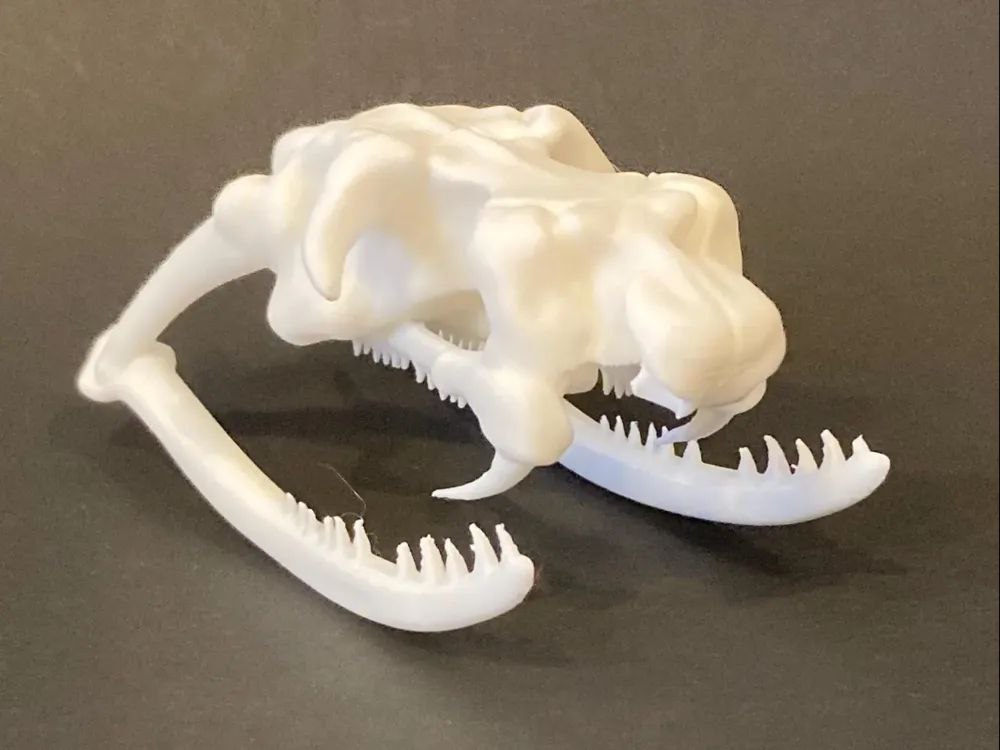 King Cobra Skull