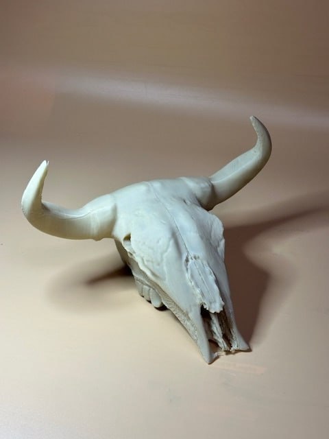 Bull-Skull-Repair-Remix