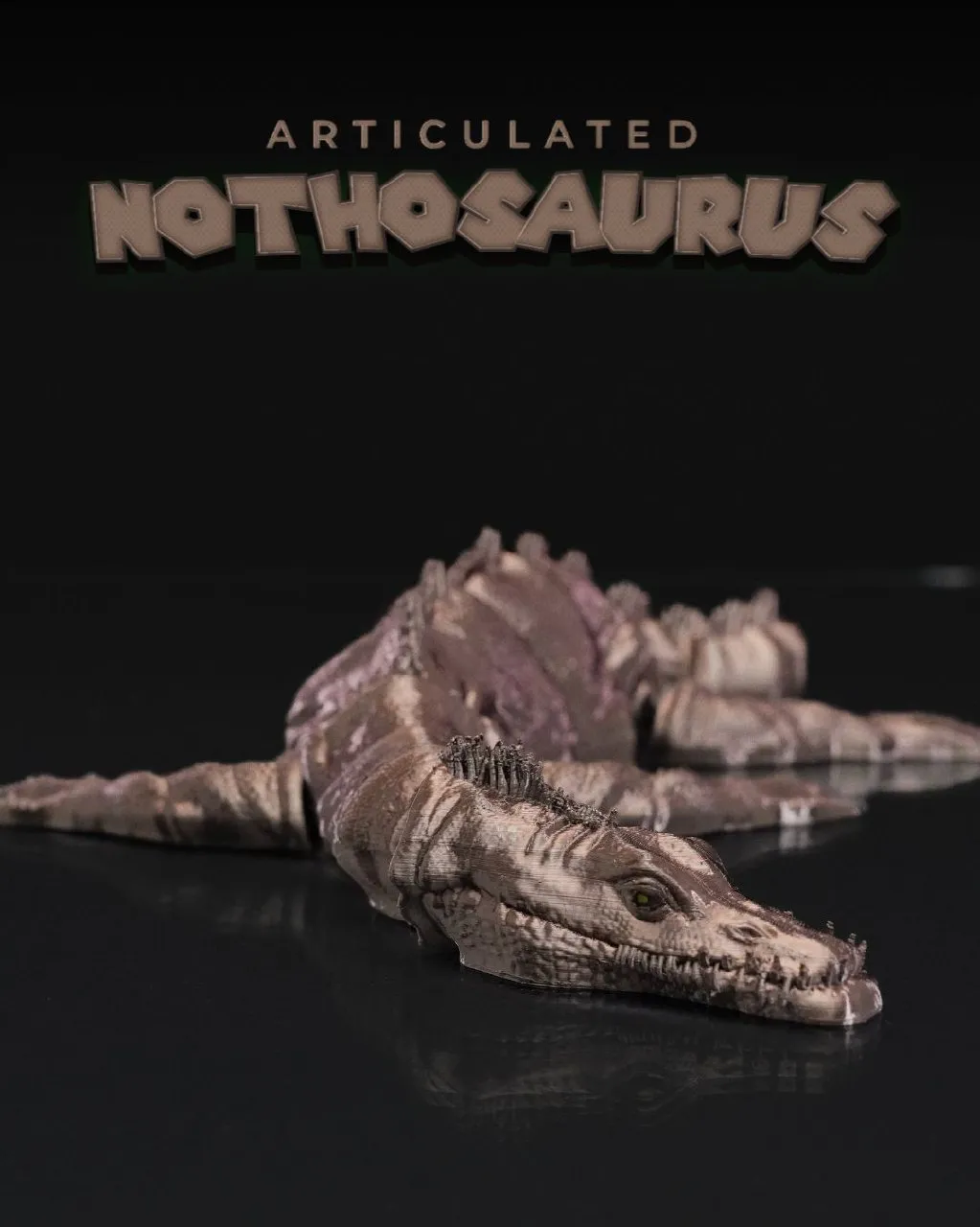 Articulated Nothosaurus 982a1953d0