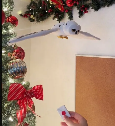 Hedwig