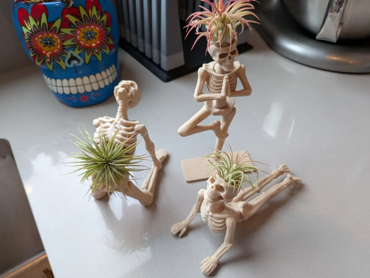 Plant Skeletons 3 Poses Stls