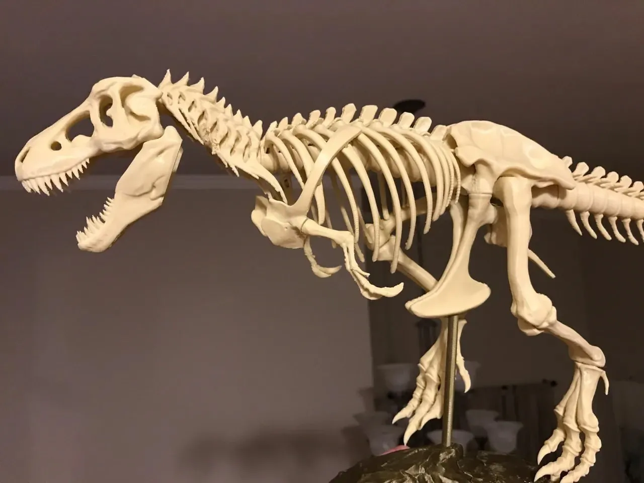 -Rex-Skeleton-Fixed-And-Printable-Model Files