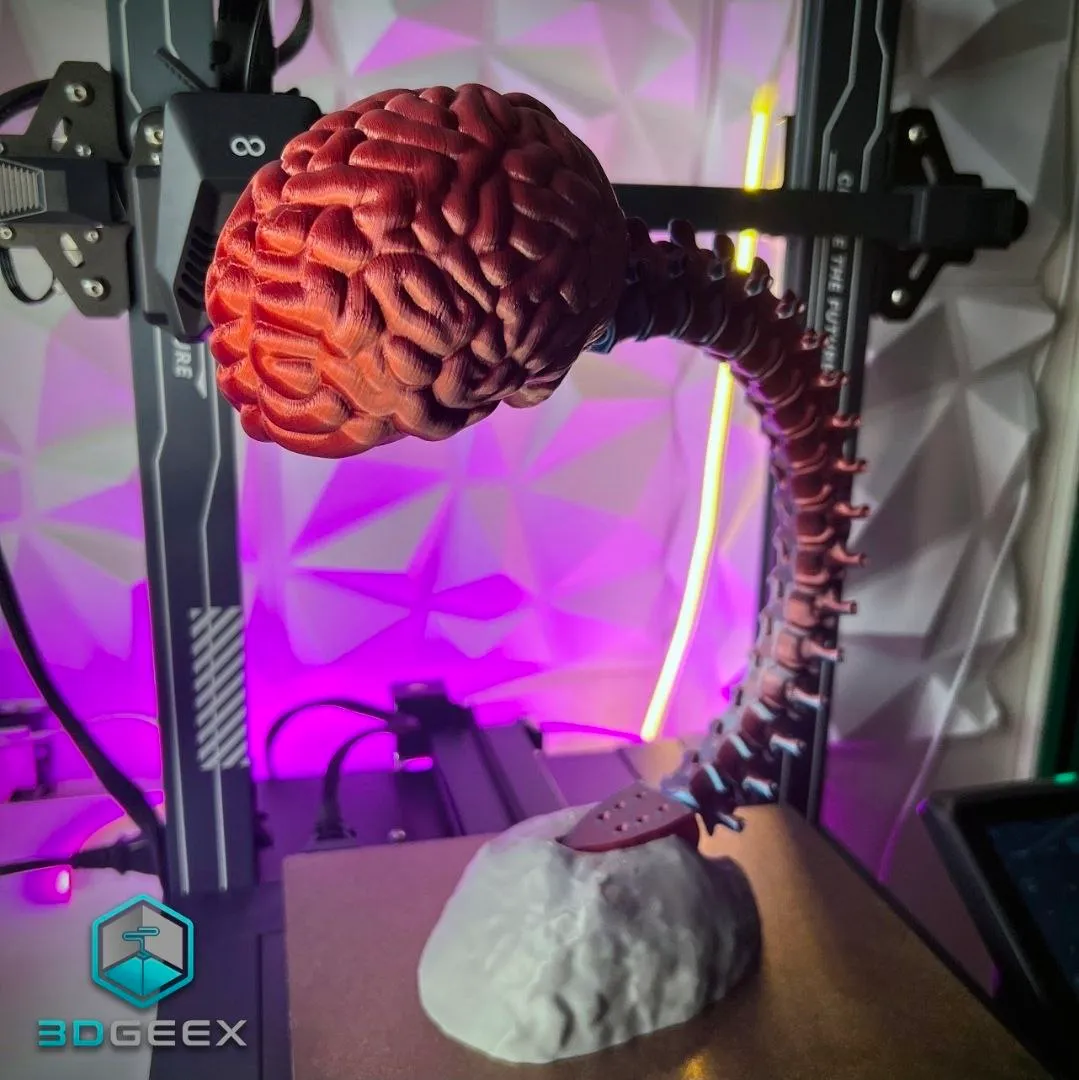 Articulated Spine Brain