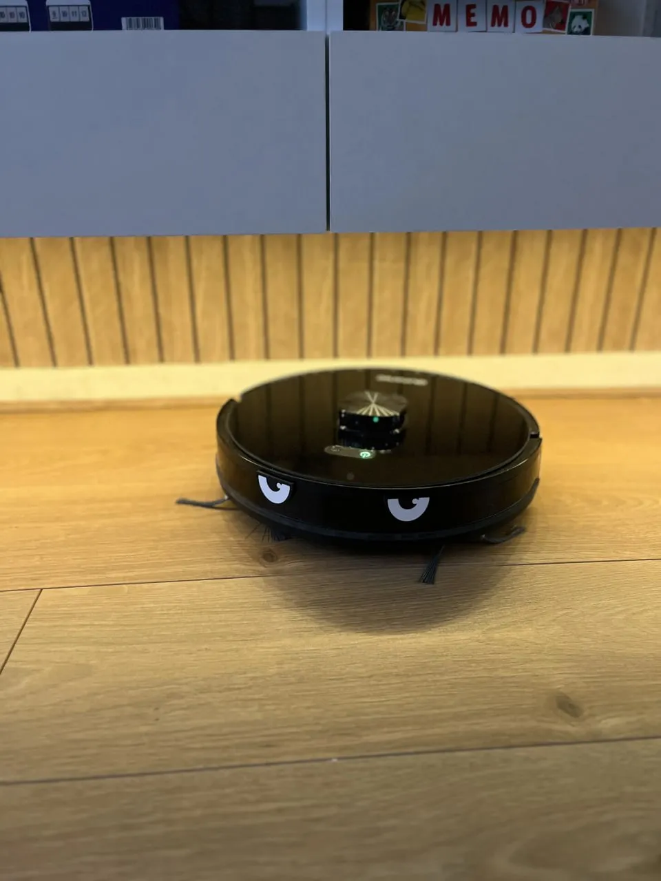 Robot Vacuum Eyes