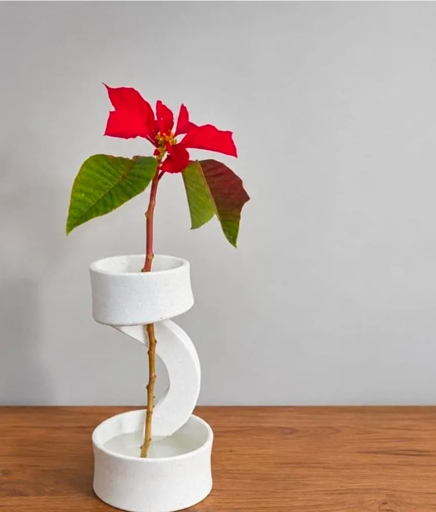 Ribbon Vase