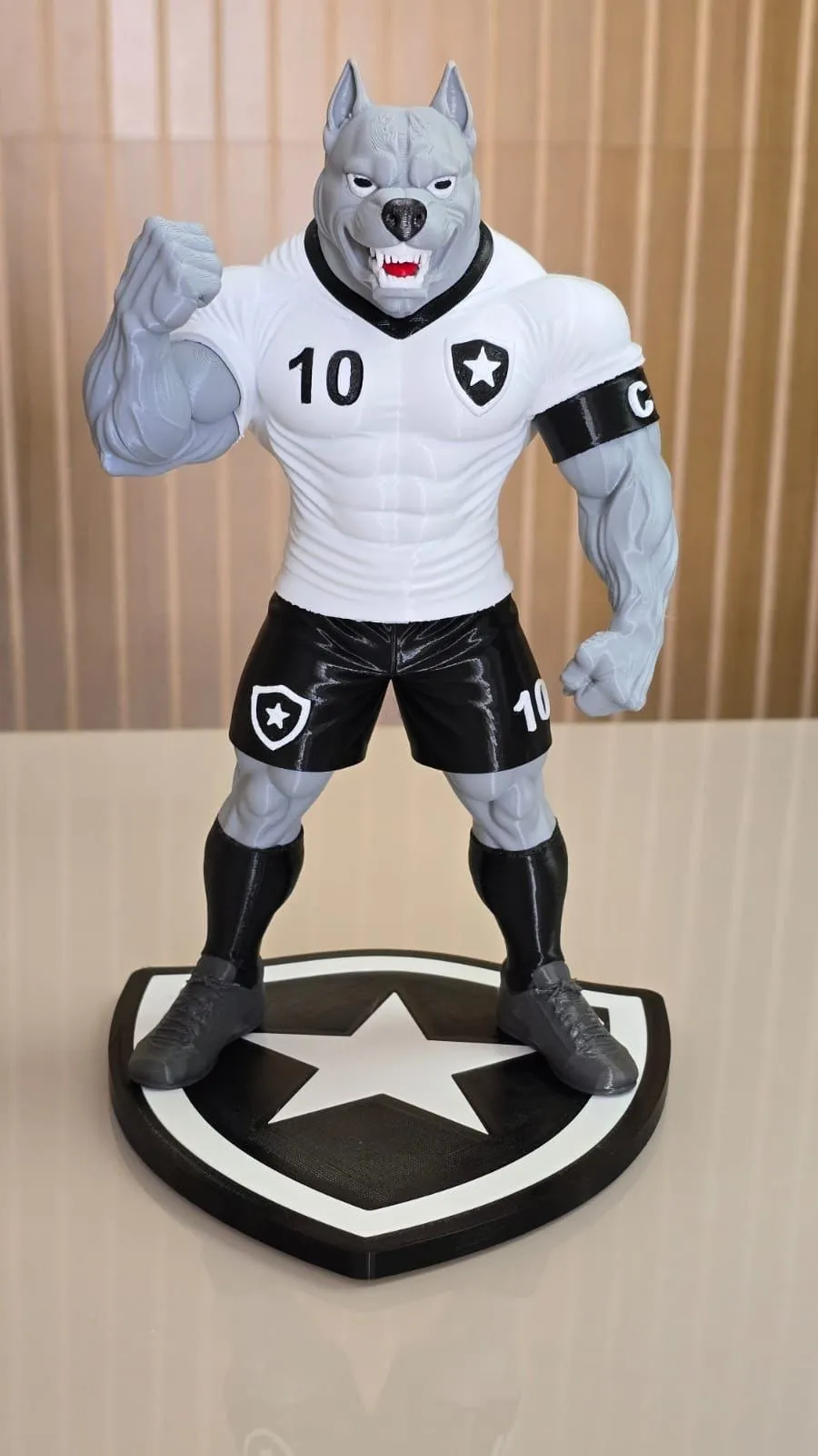 Mascote Do Botafogo 2 0
