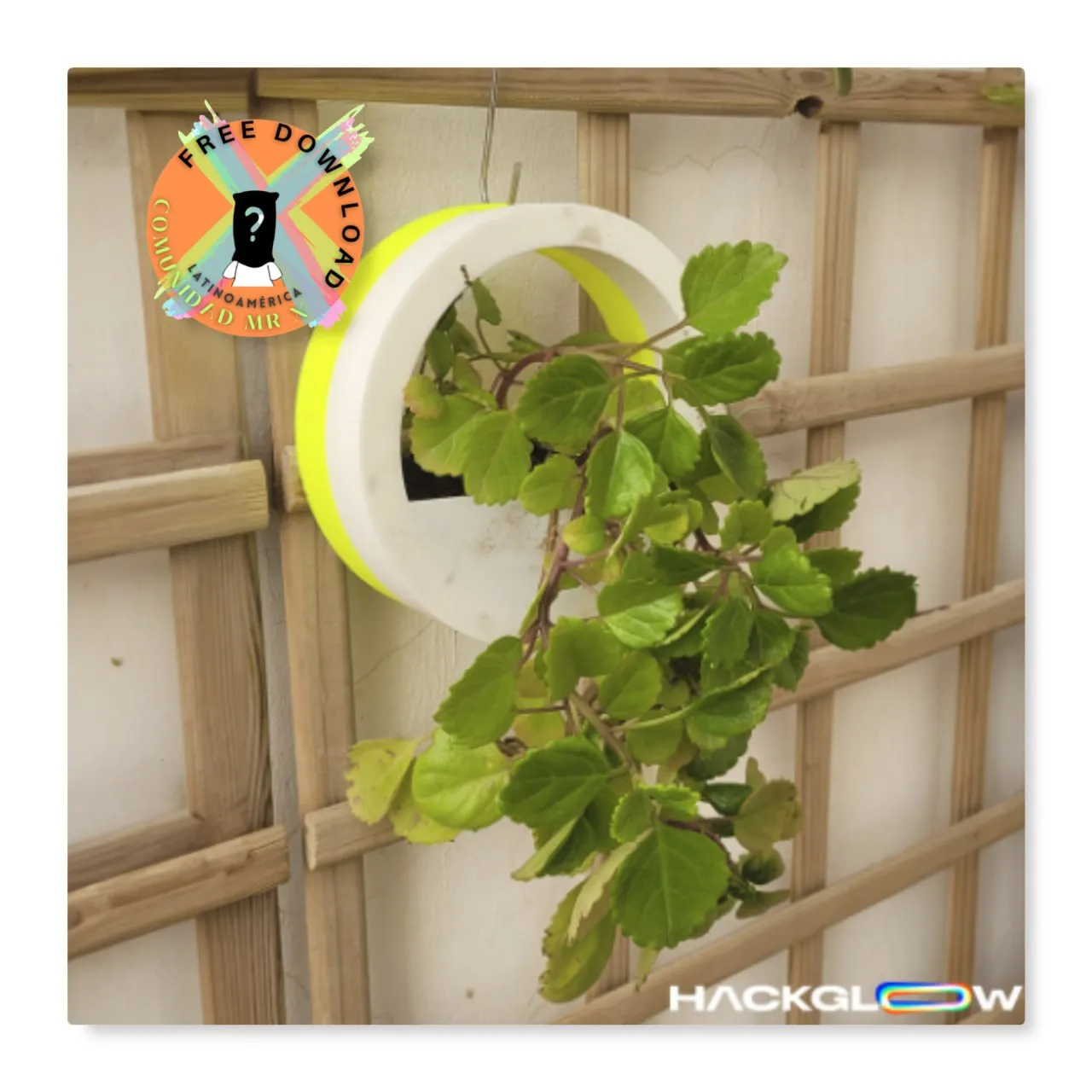 Circle Wall Desk Planter Easy Water Plantersxcults20230829 61 Qqm2xp
