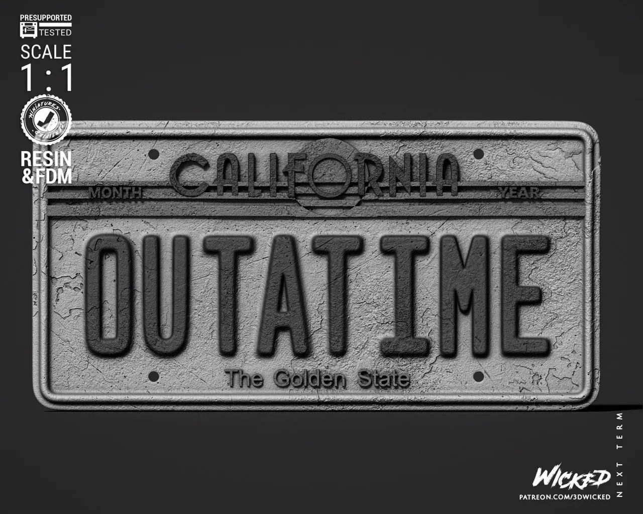 WICKED Back To The Future License Plate With Logo Non Supported