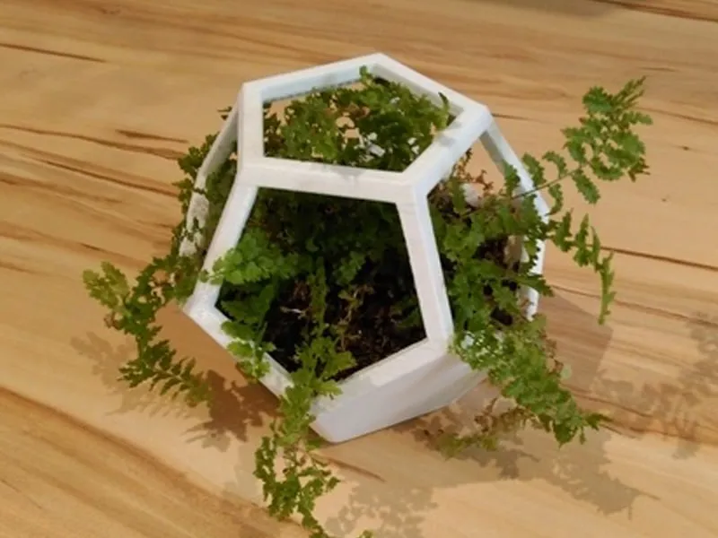 miniatura