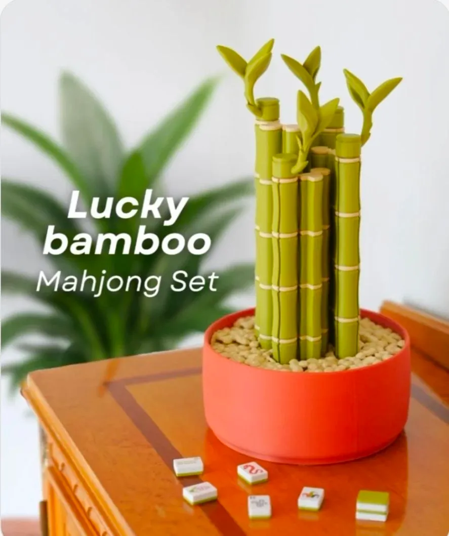 Lucky Bamboo