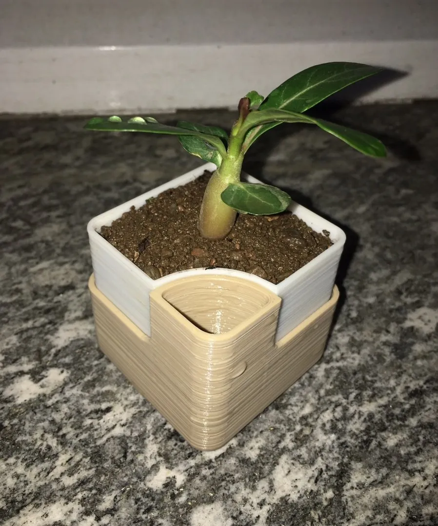 Self-Pot-Water-Rectangular