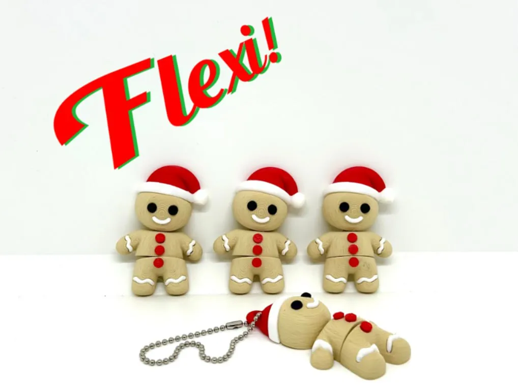 Flexi Biscotto Zenzero T Me