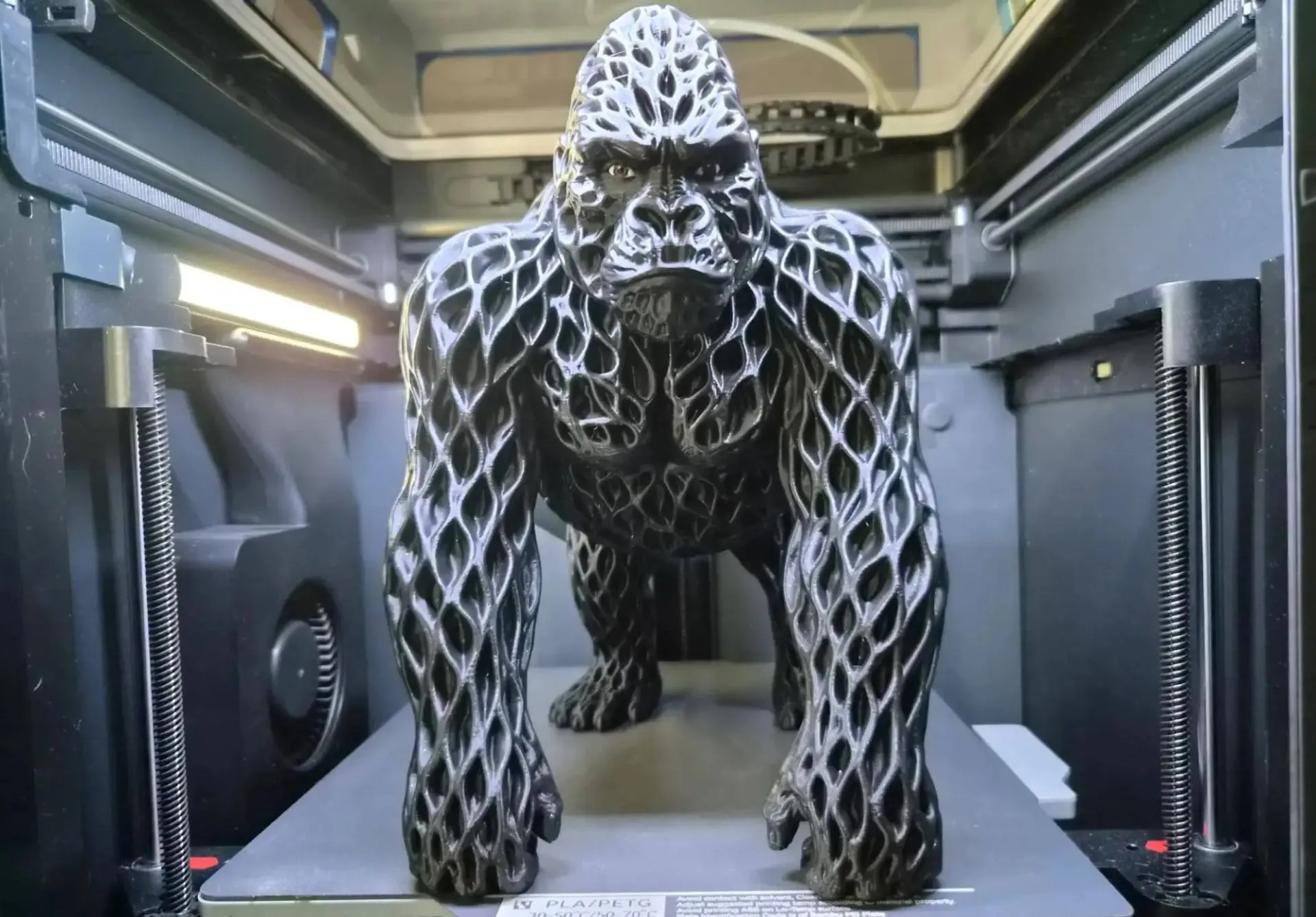 Rootwoven Gorilla