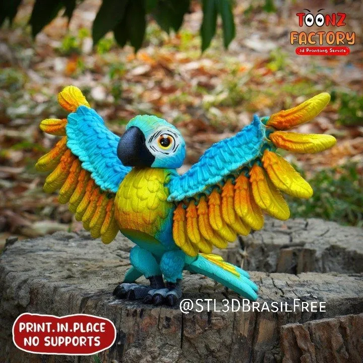 May-Exclusive-Flexi-Parrot-Paid