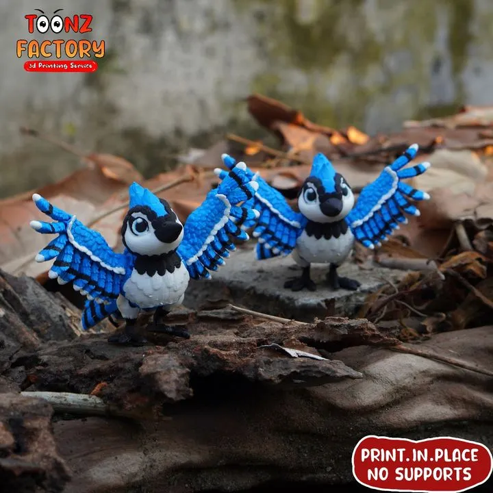 Flexi-Blue-Jay