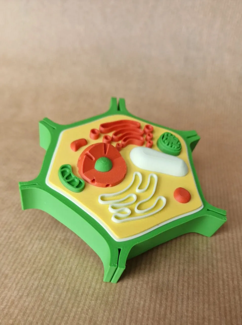 PlantCell