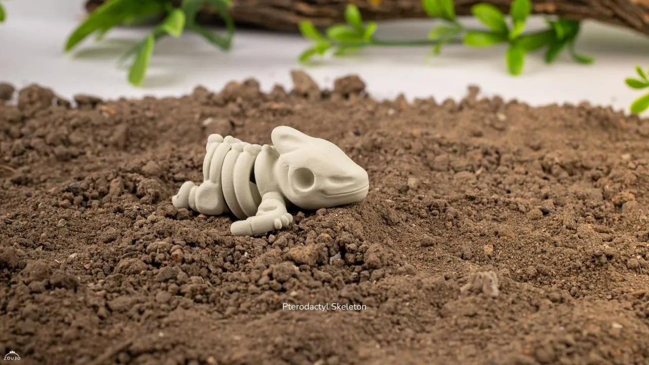 Baby Pterodactyl Skeleton