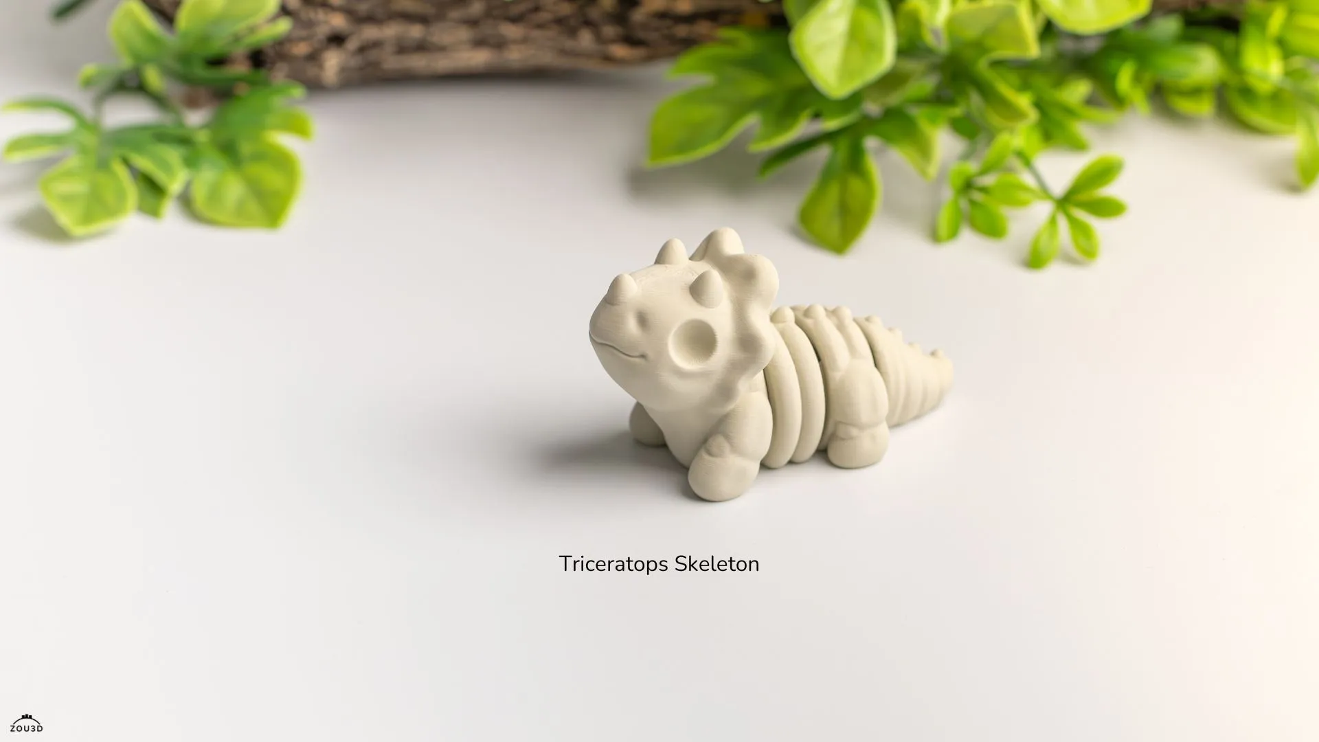 Baby Triceratops Skeleton