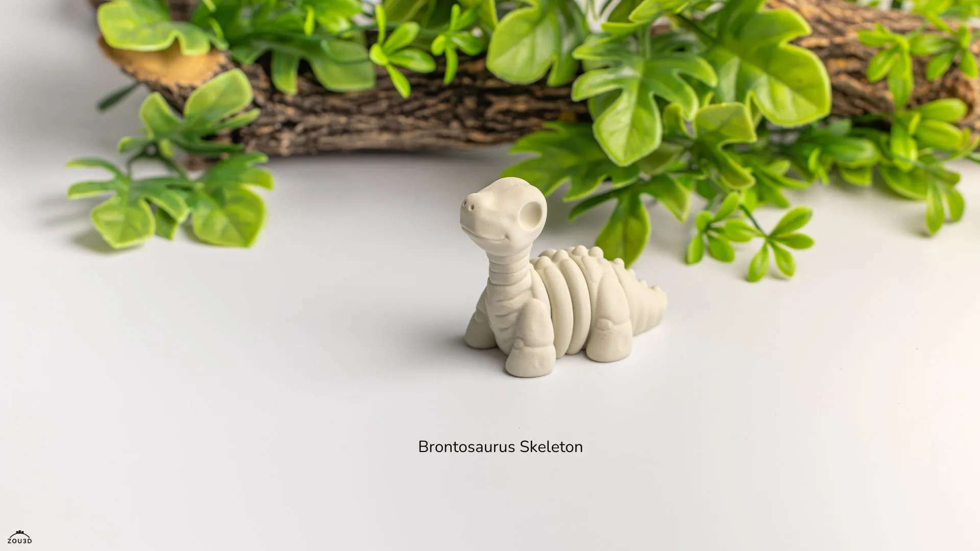 Baby Brontosaurus Skeleton