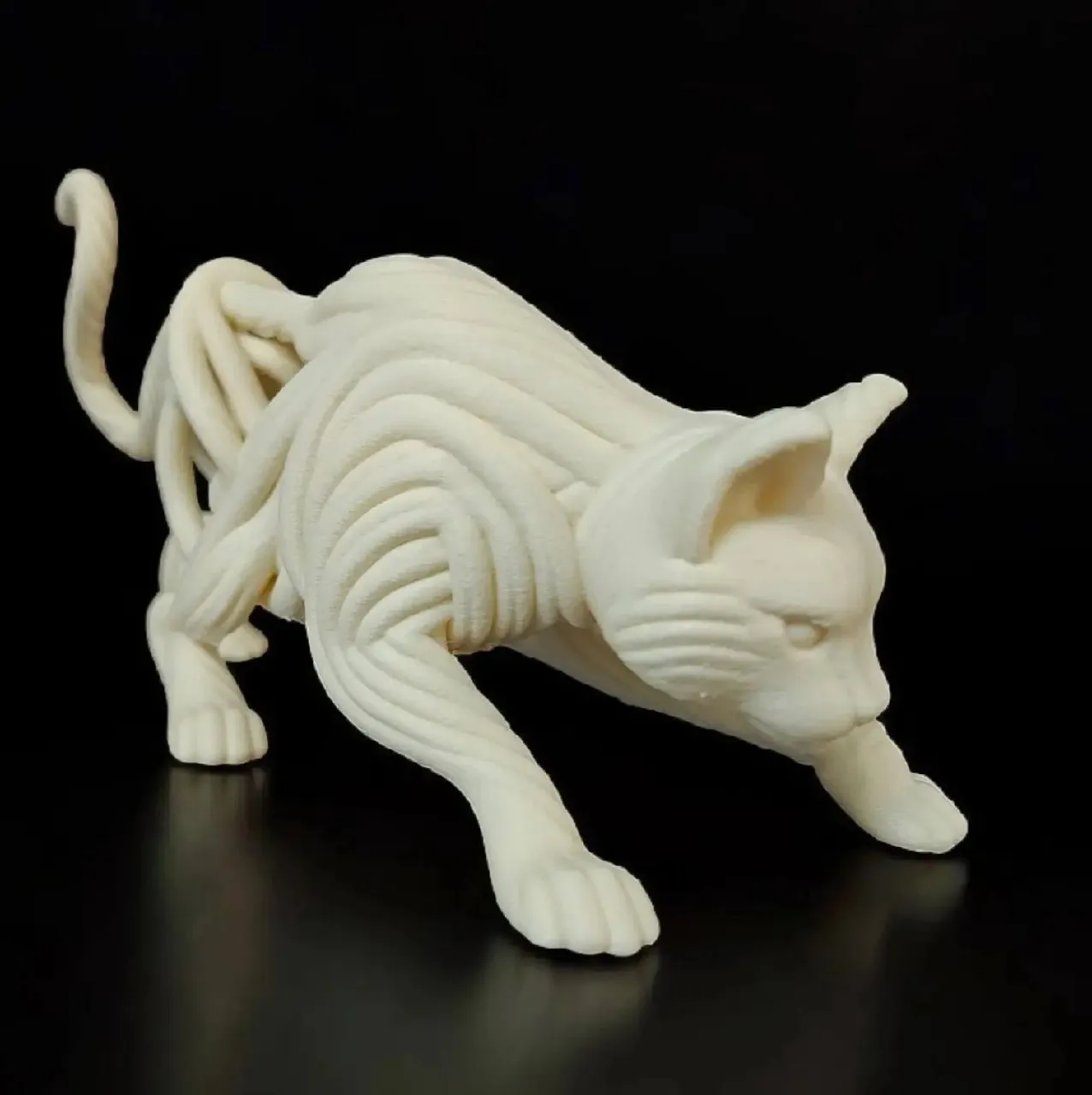 Gato Cuerda Fluido A1 Stls