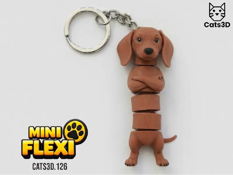 Cats 3D Studio - Salsicha Final - MakerWorld