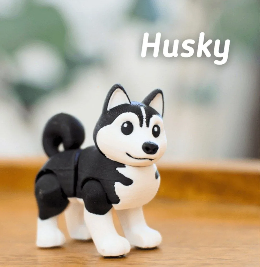 Ludo- Husky