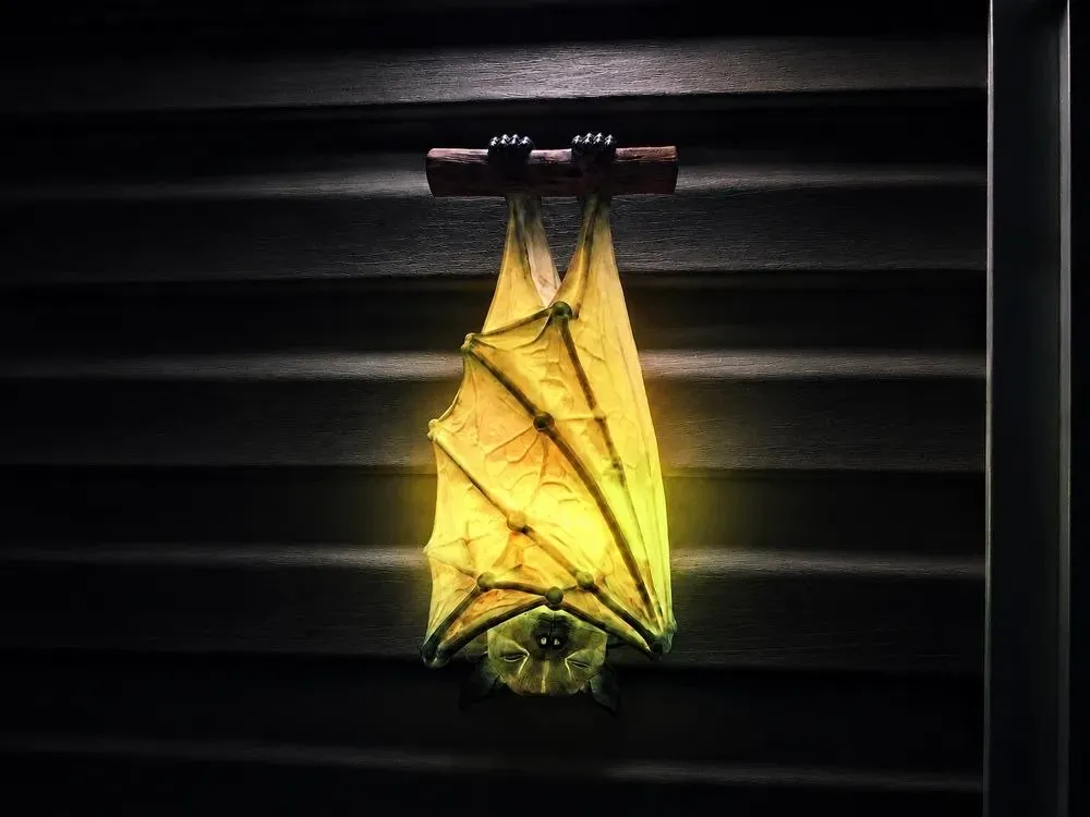 BAT 2 0