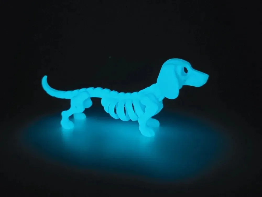 Dog Glow Stls